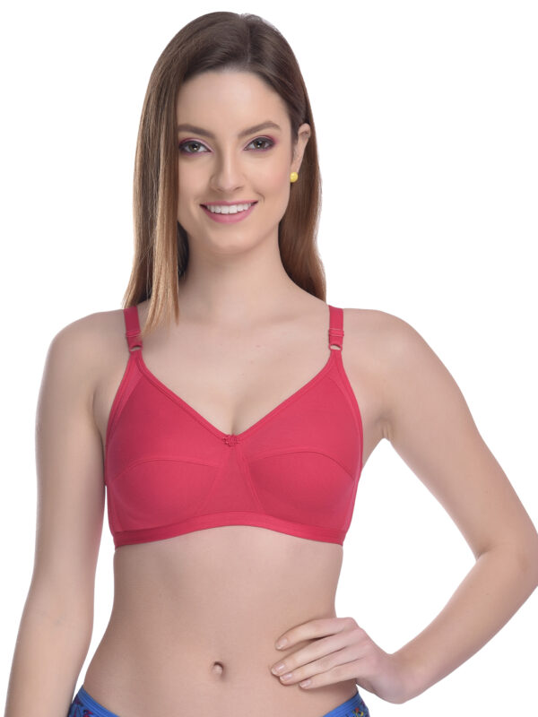 Lightly Padded Non-Wired  Bra (Red)